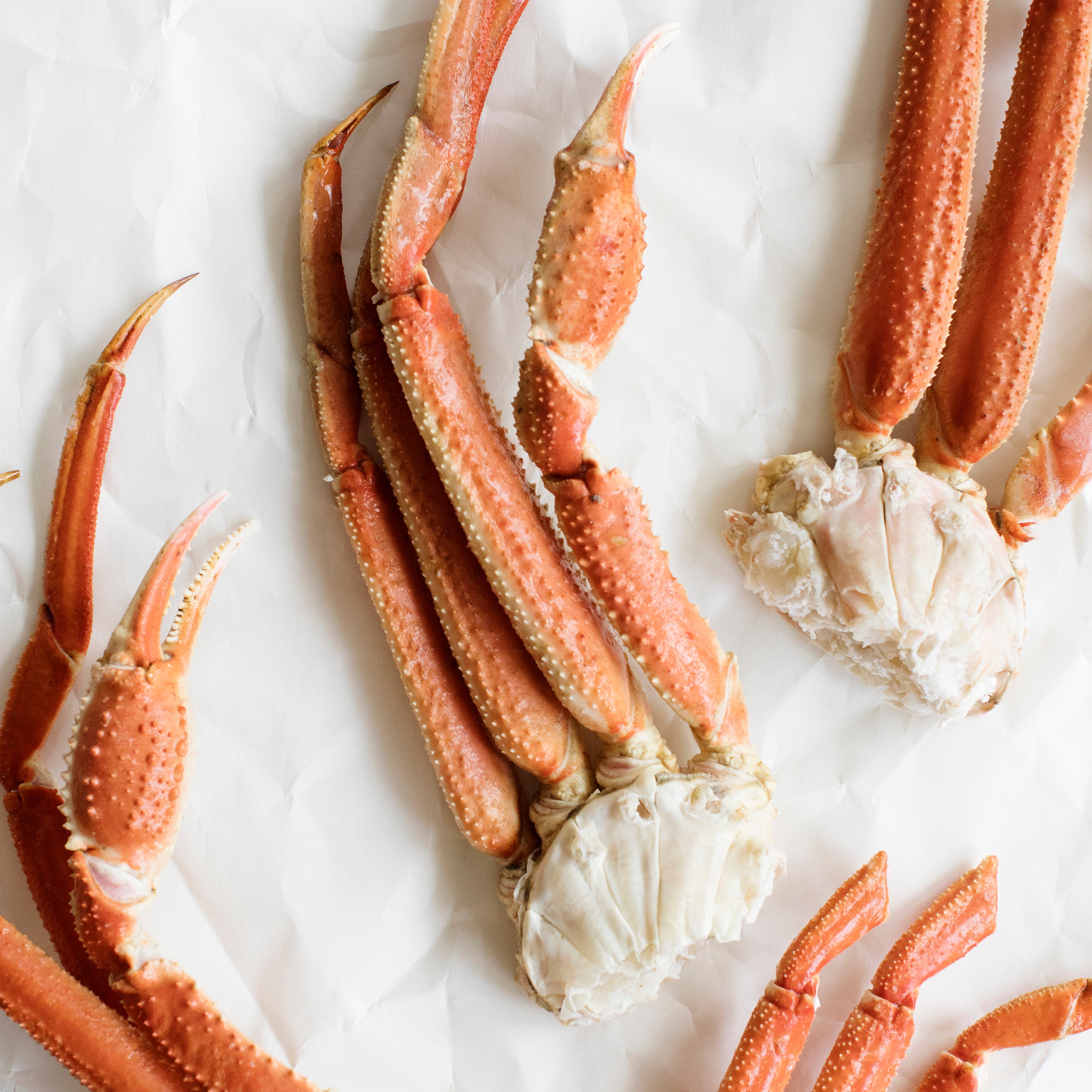 Everything You've Ever Wanted to Know About Snow Crab – Alaskan King Crab