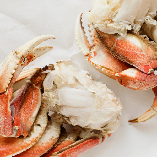 6 Facts About Dungeness Crab You Probably Didn't Know