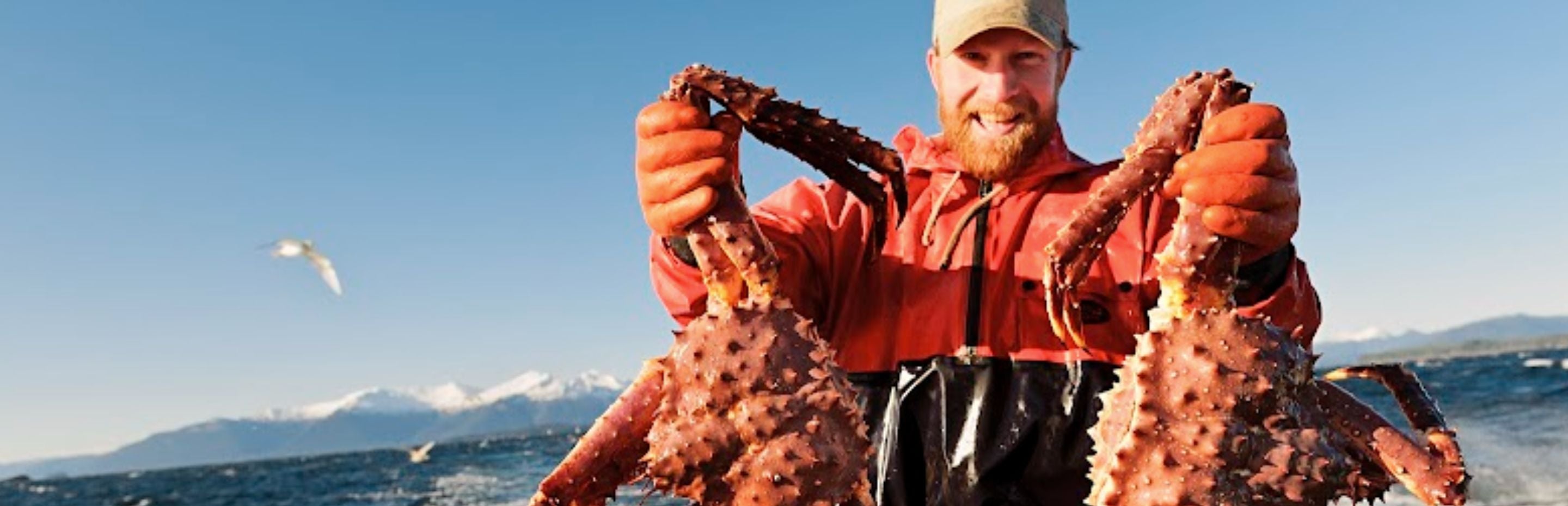 10 Random Facts About Alaskan King Crab – Alaskan King Crab Co., image size:2880x930