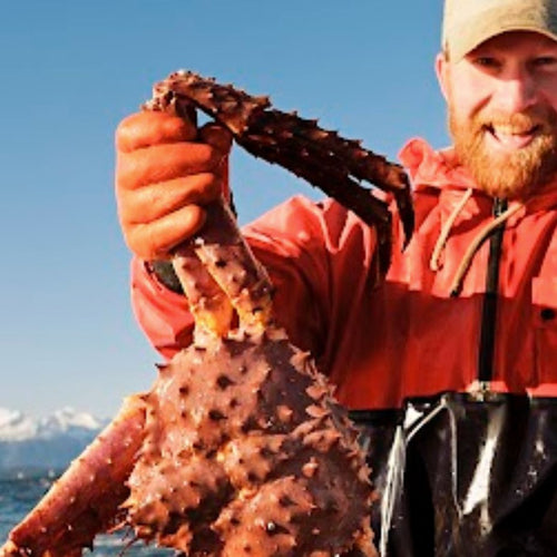 10 Random Facts About Alaskan King Crab