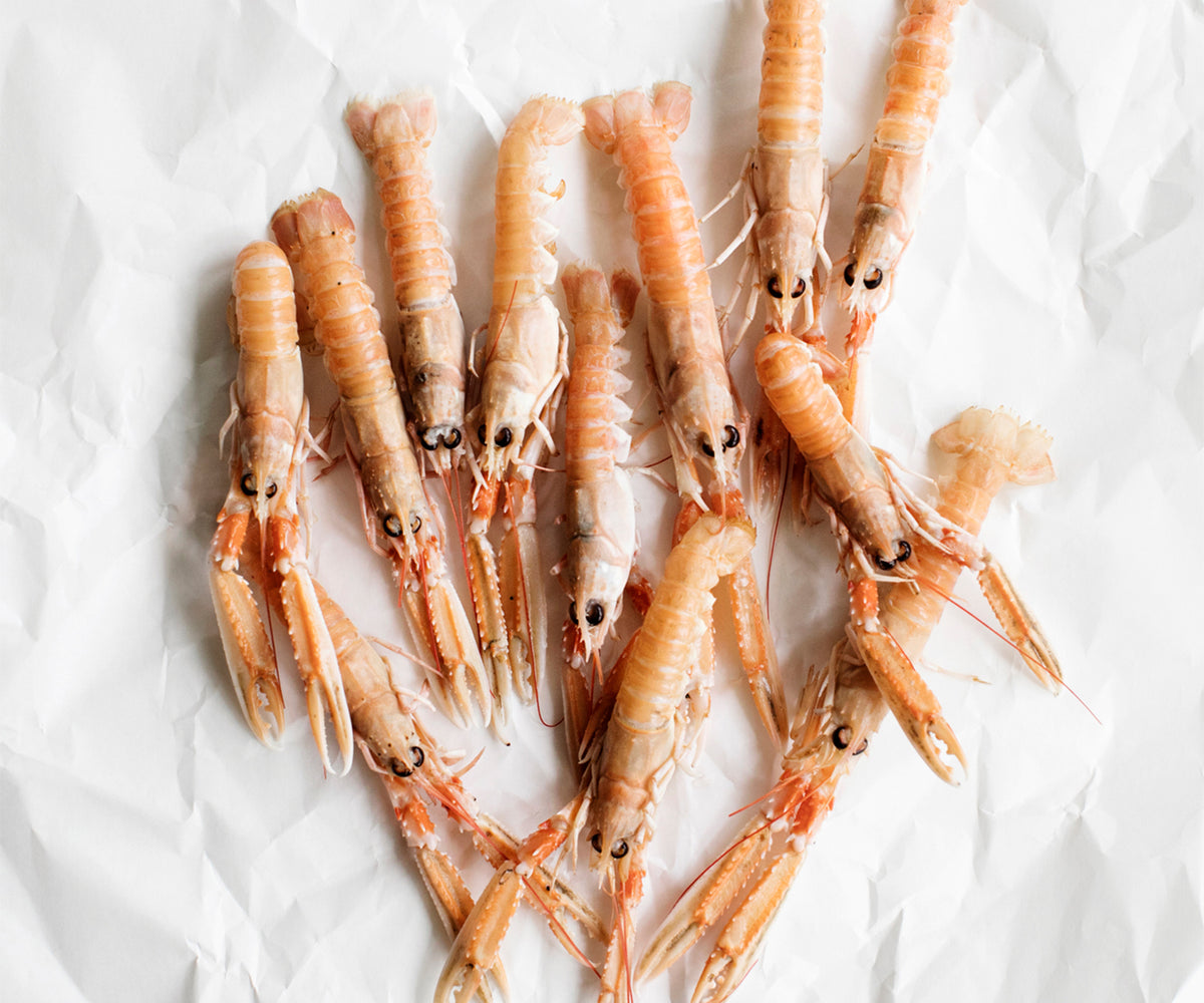 Alaskan King Crab