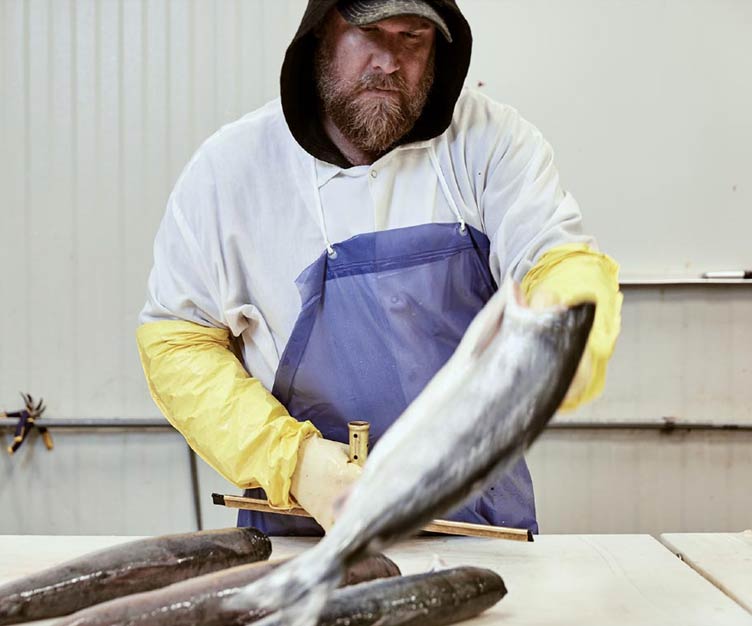 Man inspecting fresh fish.