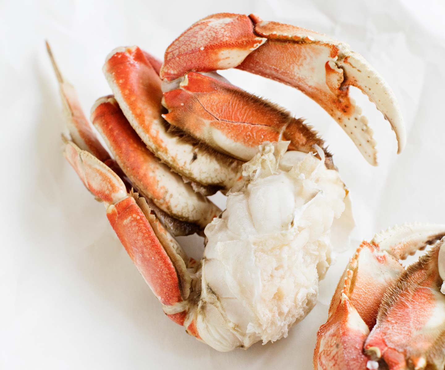 Close-up of a crab claw with white meat on a white background