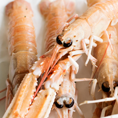Langoustine