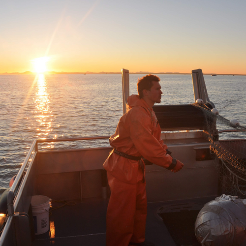 Surrender Salmon: Bringing Bristol Bay's Finest to Your Front Door