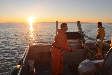 Surrender Salmon: Bringing Bristol Bay's Finest to Your Front Door