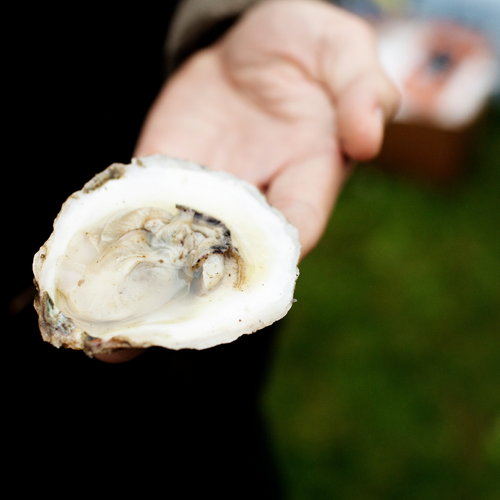 The Difference Between Crustaceans and Shellfish (And Ways to Enjoy Both)