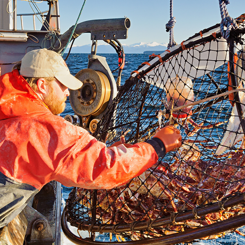 Fishing for Alaska King Crab