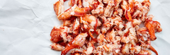 Lobster Meat Recipes