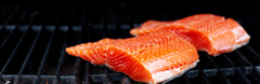 The Best Fish to Grill