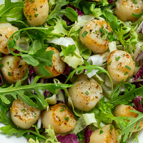 Seared Scallop, Mango, and Avocado Salad Recipe