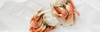 6 Facts About Dungeness Crab You Probably Didn't Know