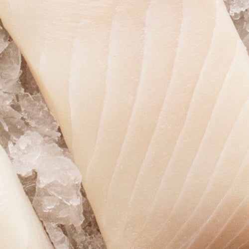 Citrus Pairing 101: The Best Pairings for Seafood