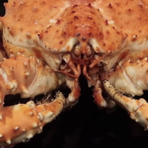 The Anatomy of Alaskan King Crab
