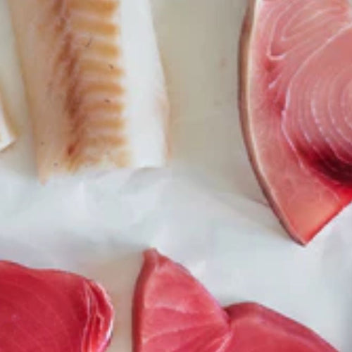 The Alaskan King Crab Co. Fish Guide