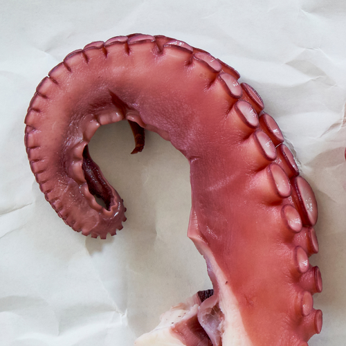 Ceviche de Pulpo (Octopus Ceviche)