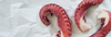 Ceviche de Pulpo (Octopus Ceviche)