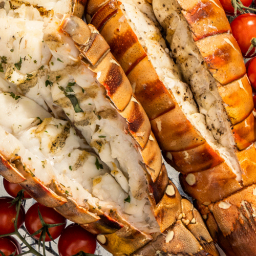 Fun Facts About Australian Lobsters