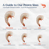 Prawn Size Guide New Caledonia Blue Prawns – Alaskan King Crab Co.