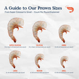 Prawn Sizes