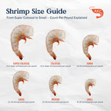 Shrimp Guide