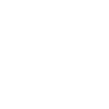 thermometer icon