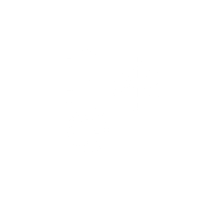 thermometer icon