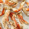 Dungeness Crab