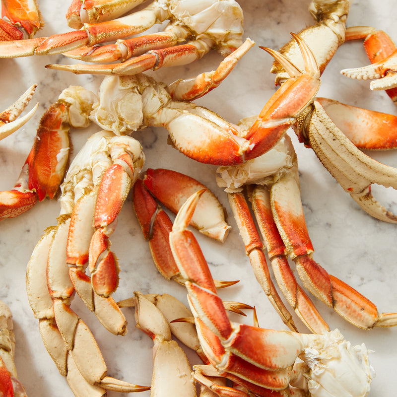 Dungeness Crab