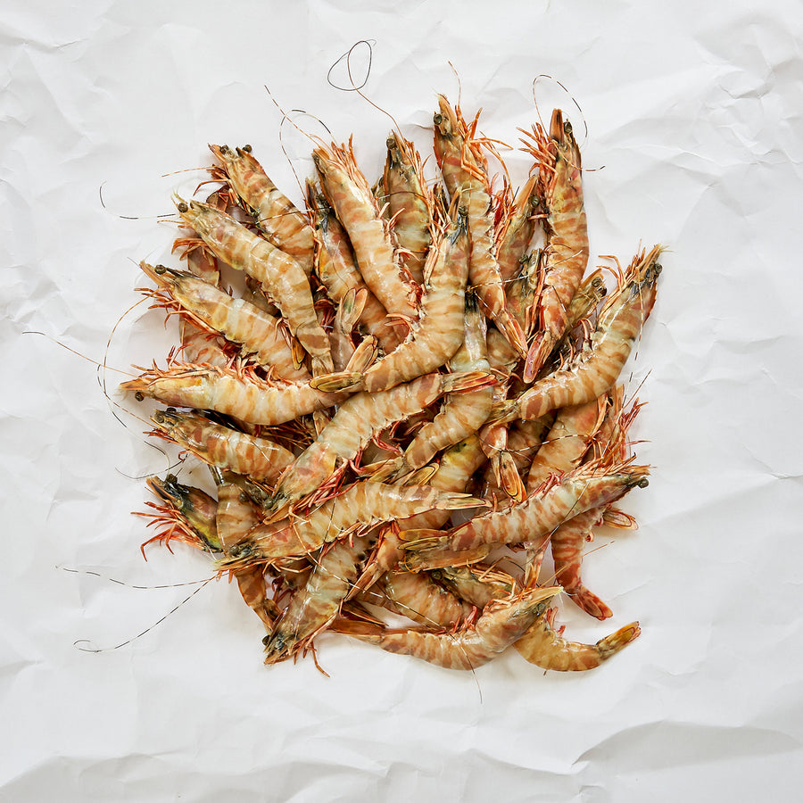 Skull Island Prawns