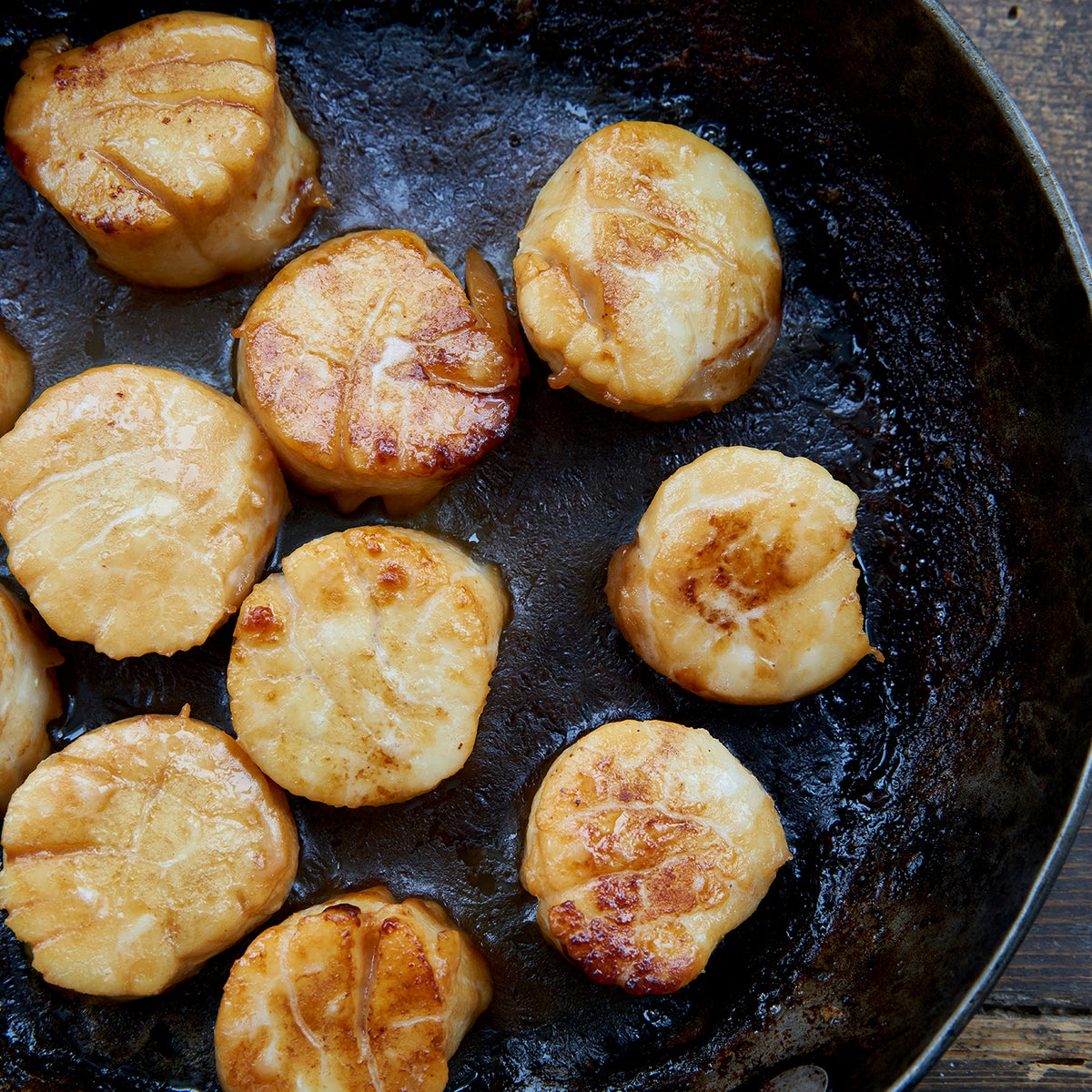 Sea Scallops 