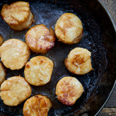 Sea Scallops 