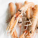 langoustine