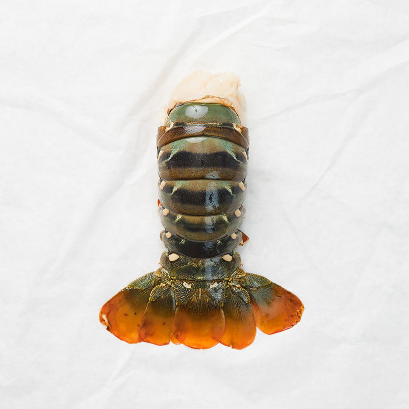 Lobster Tail
