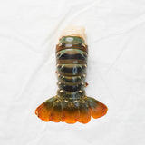 Lobster Tail