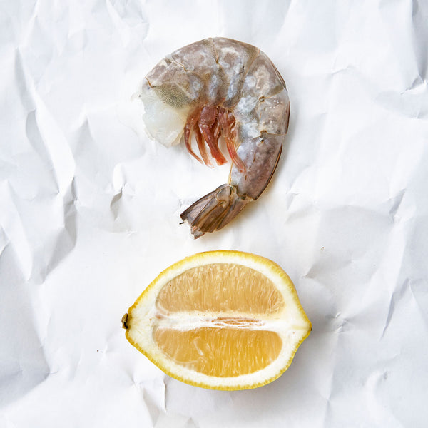 1 raw U10 Oishii White Shrimp laying flat on white paper next to a sliced lemon.
