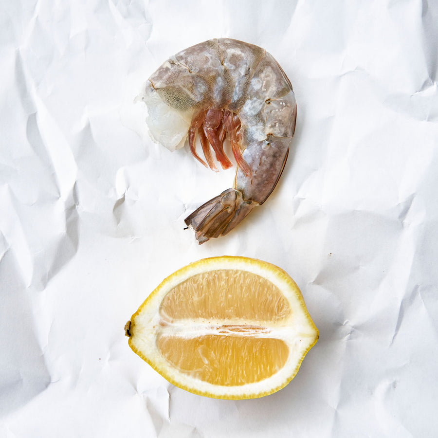 1 raw U10 Oishii White Shrimp laying flat on white paper next to a sliced lemon.