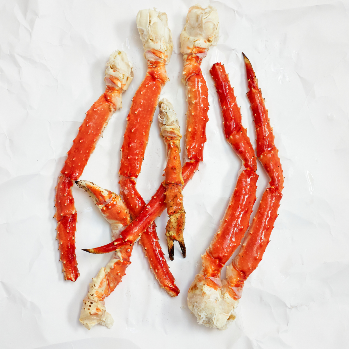 Red crab legs on a white background