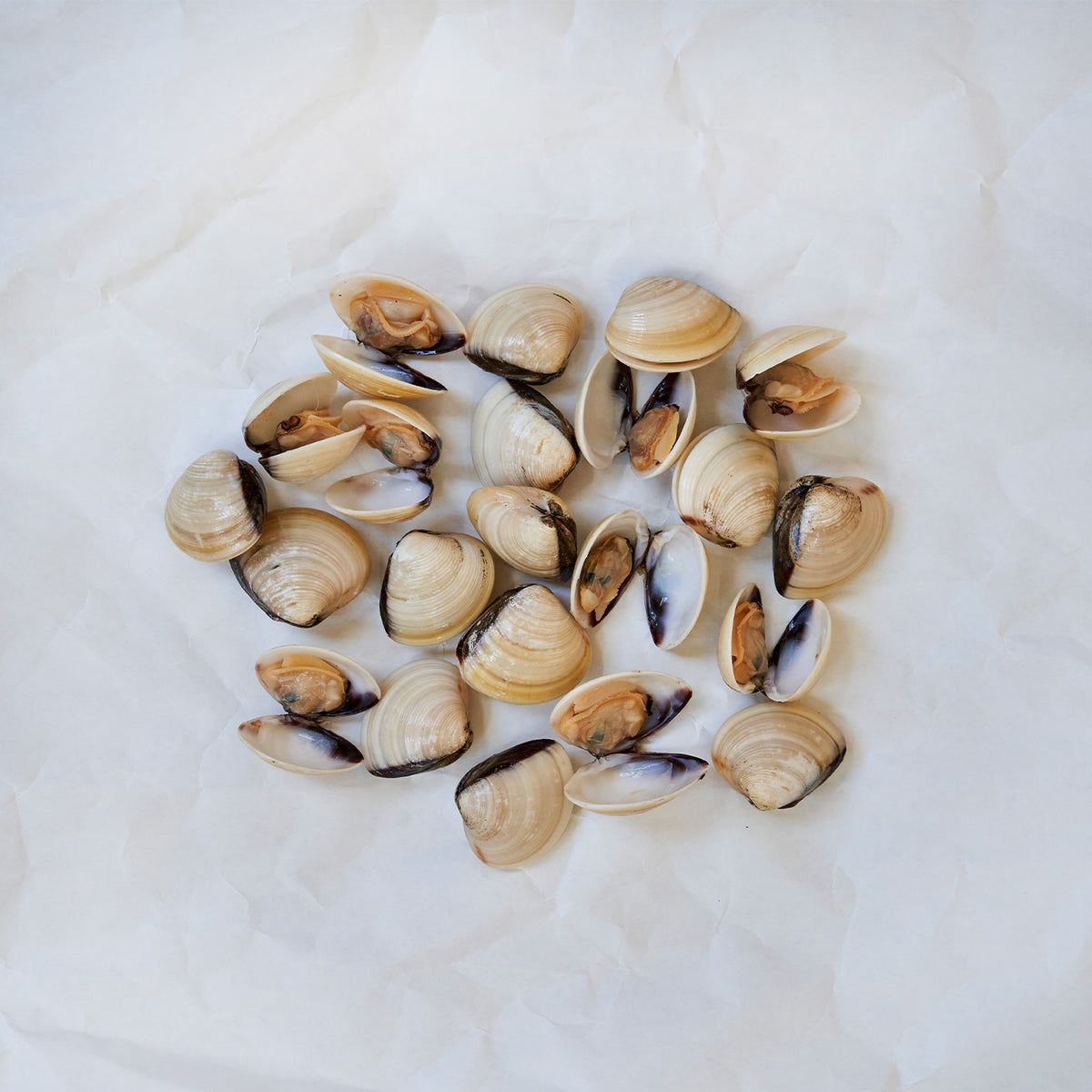 Hardshell Clams – Alaskan King Crab Co.