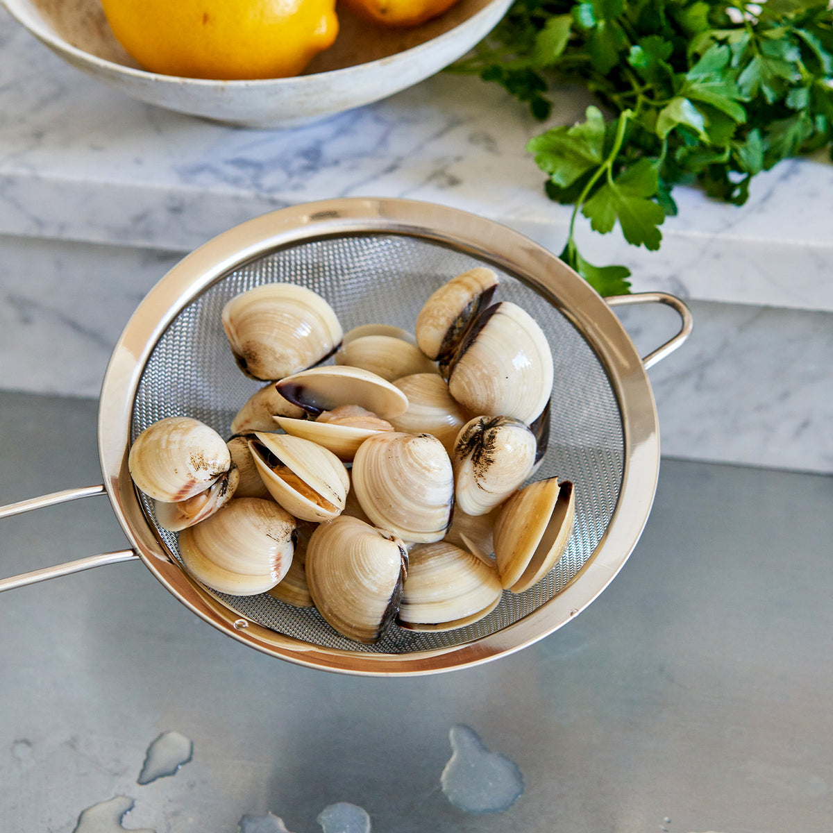 Hardshell Clams – Alaskan King Crab Co.