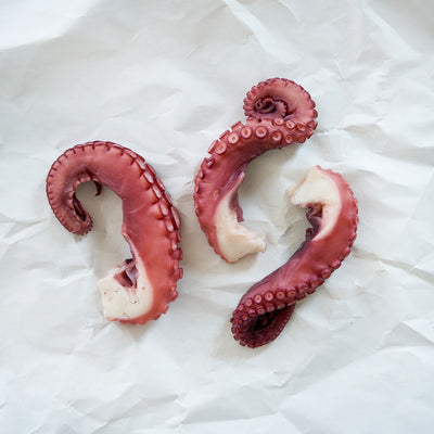 Octopus