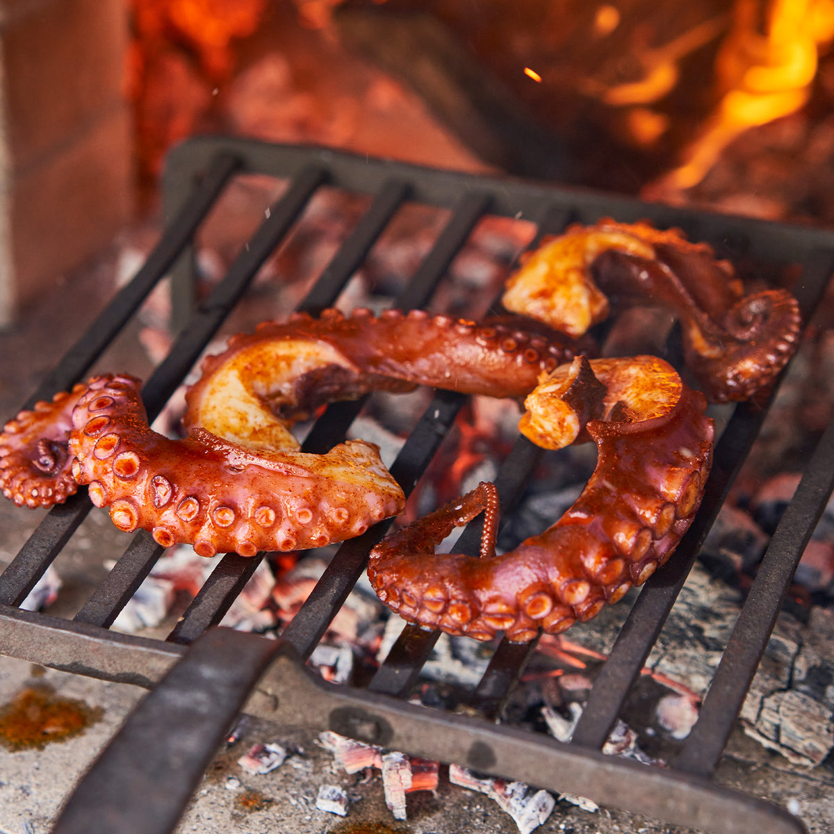 Octopus in a brick oven 