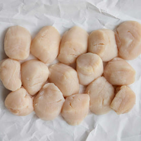 Scallops on a white paper background