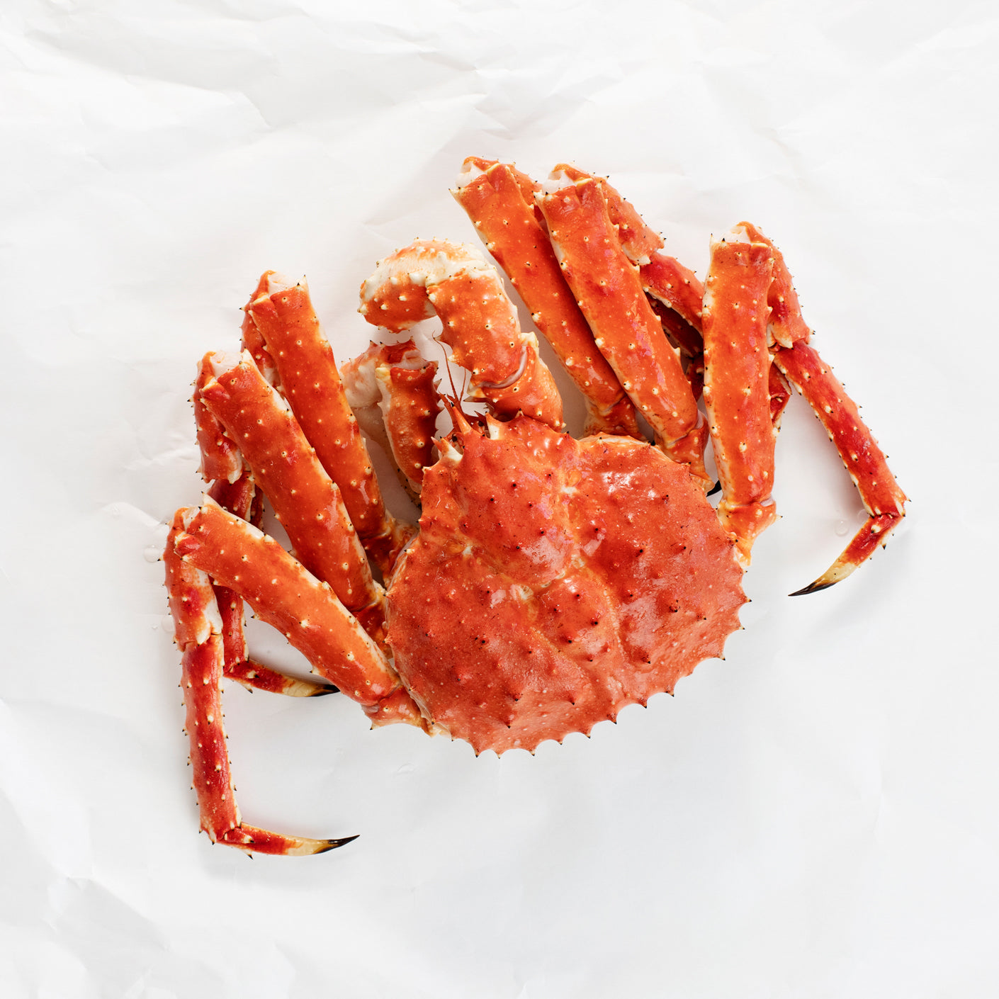 Whole King Crab Free Overnight Shipping Alaskan King Crab Co Whole king crab free overnight shipping alaskan king crab co