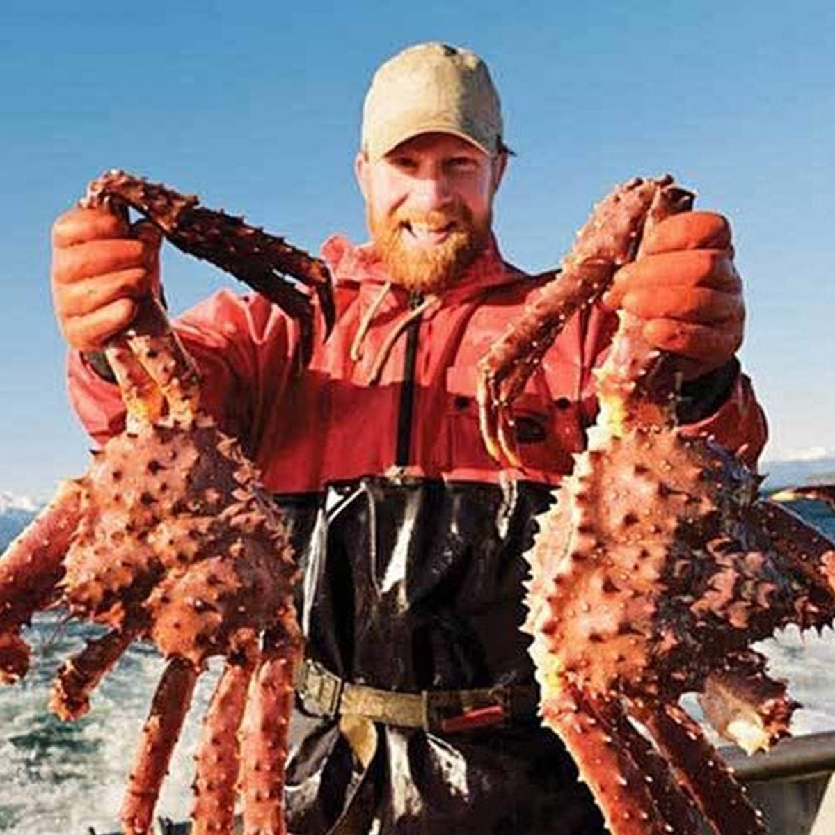 Red King Crab