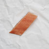 Coho Salmon